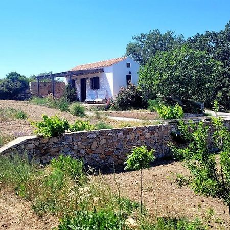 The Pigeon House Villa Potamos  Exteriör bild