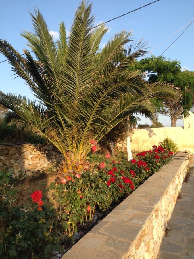 The Pigeon House Villa Potamos  Exteriör bild