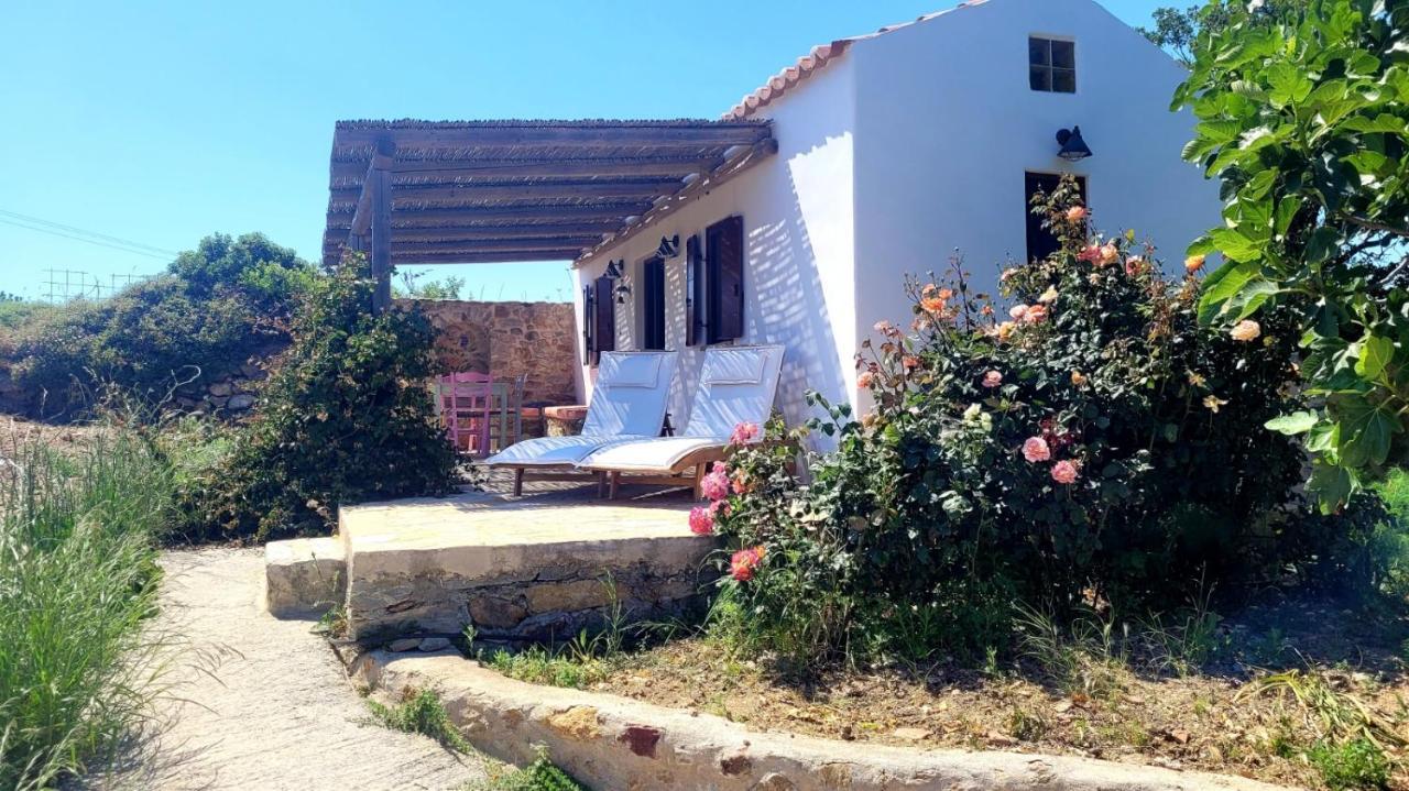 The Pigeon House Villa Potamos  Exteriör bild